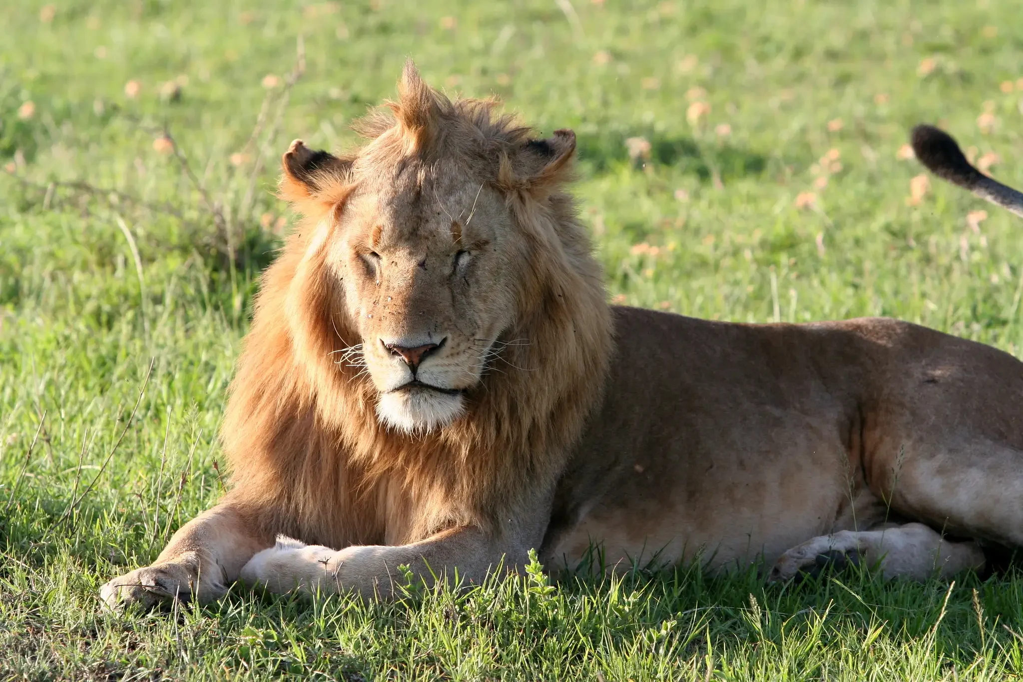 Kenya